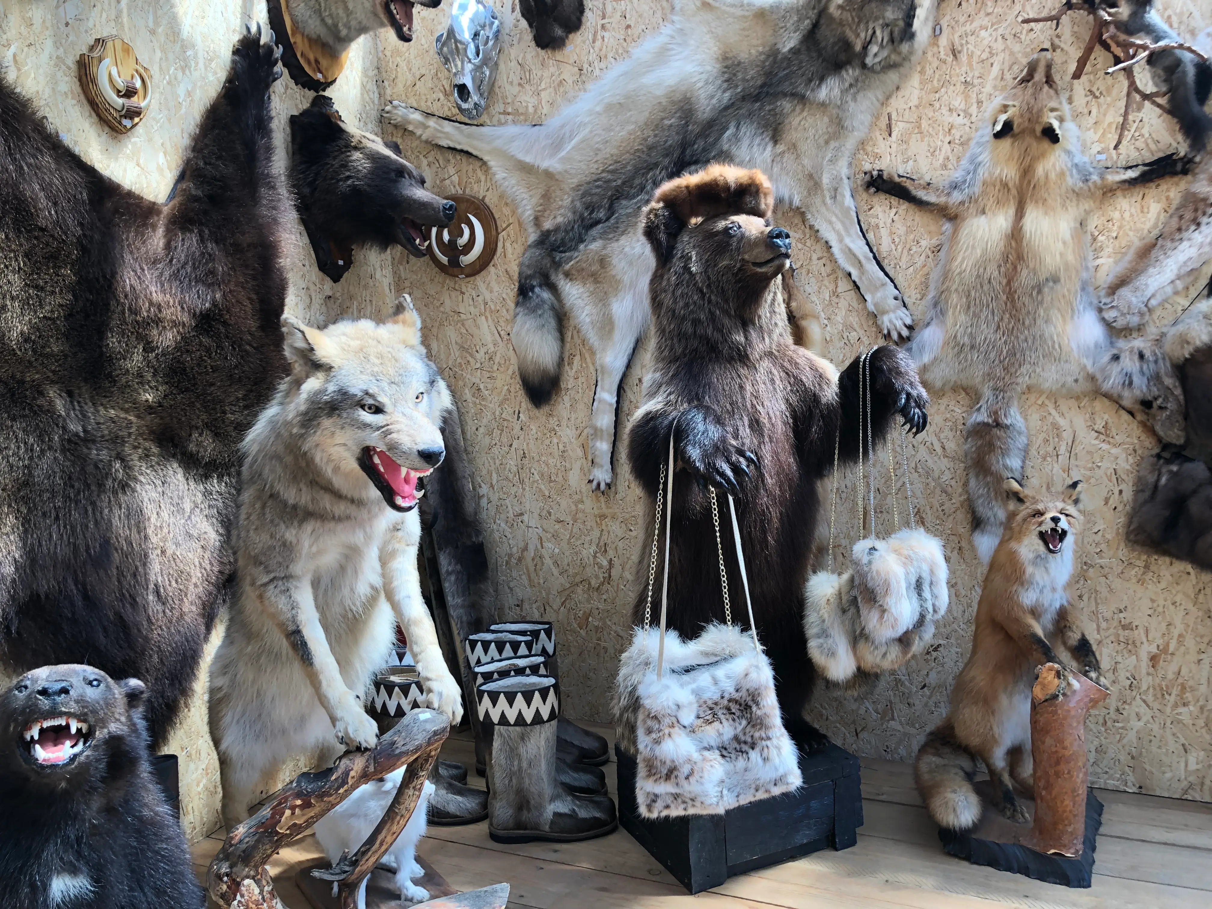 Russia detail image 11