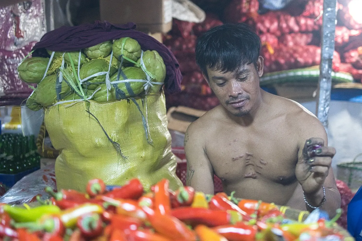 Philippines detail image 16