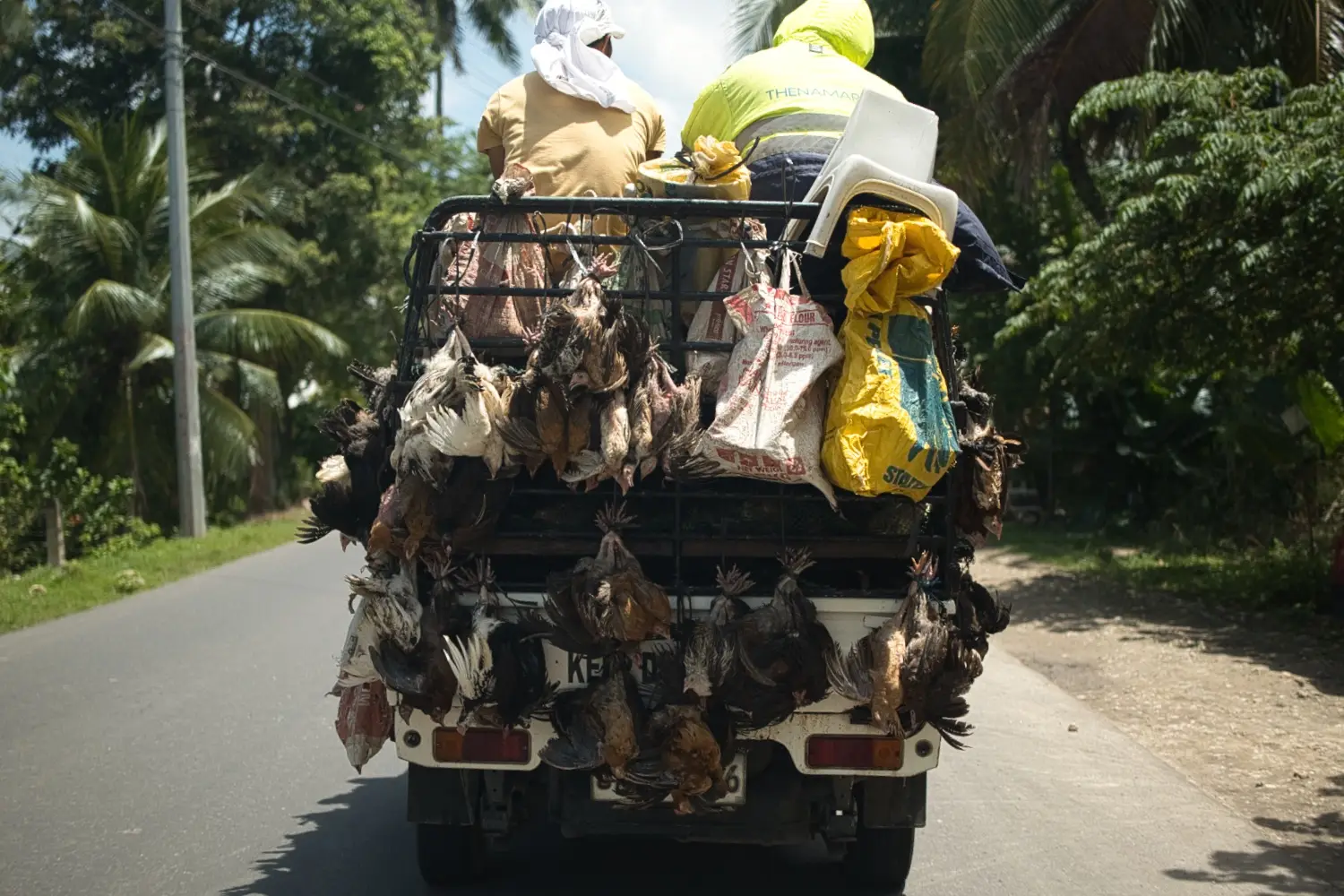 Philippines detail image 2