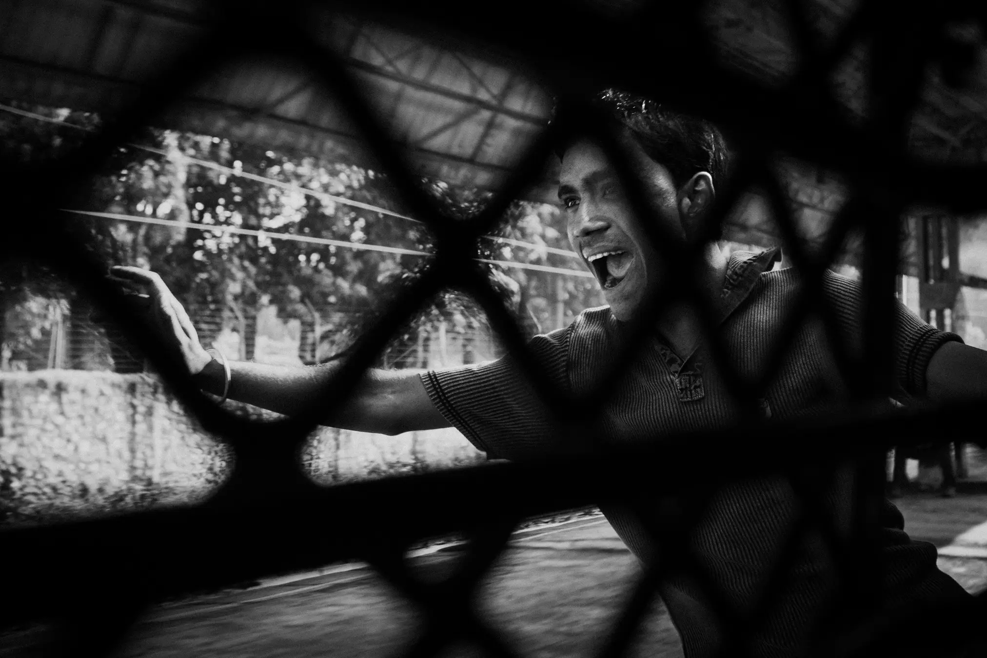 India detail image 3