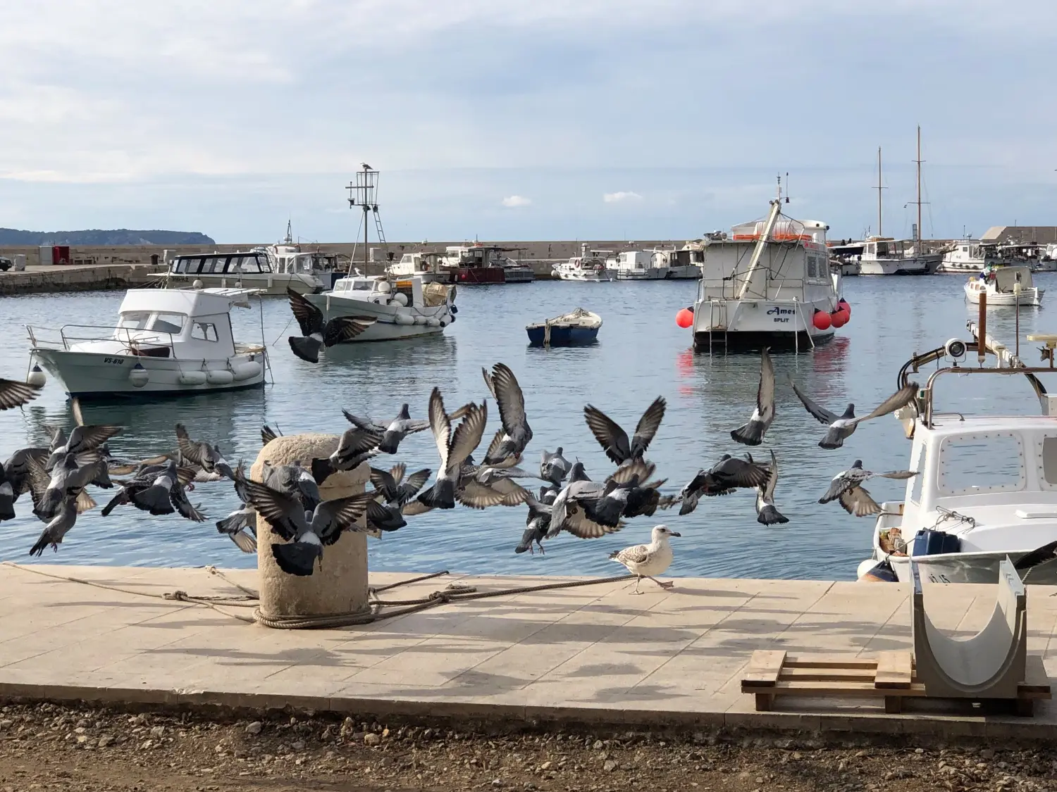 Croatia detail image 4