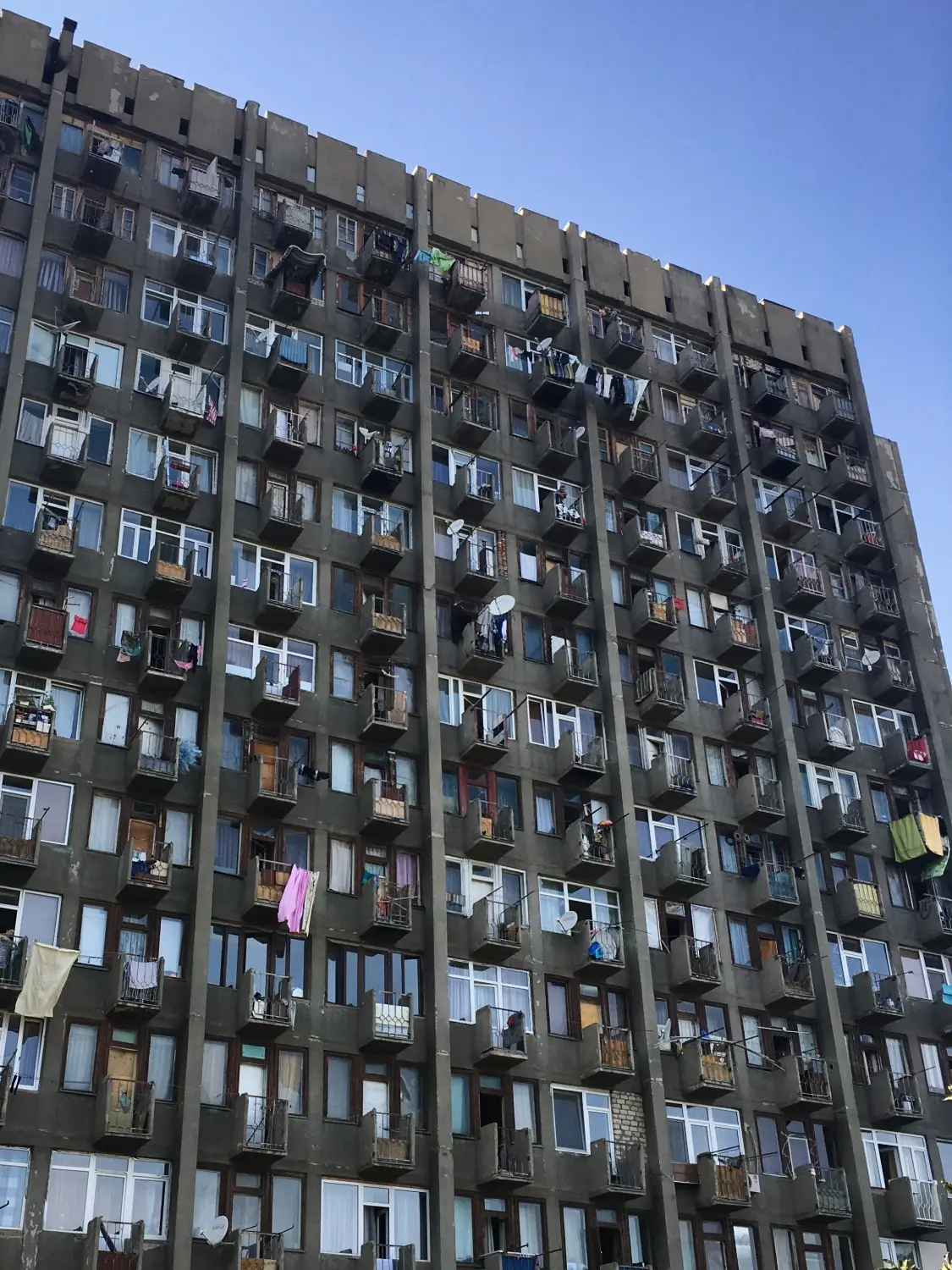 Georgia detail image 6