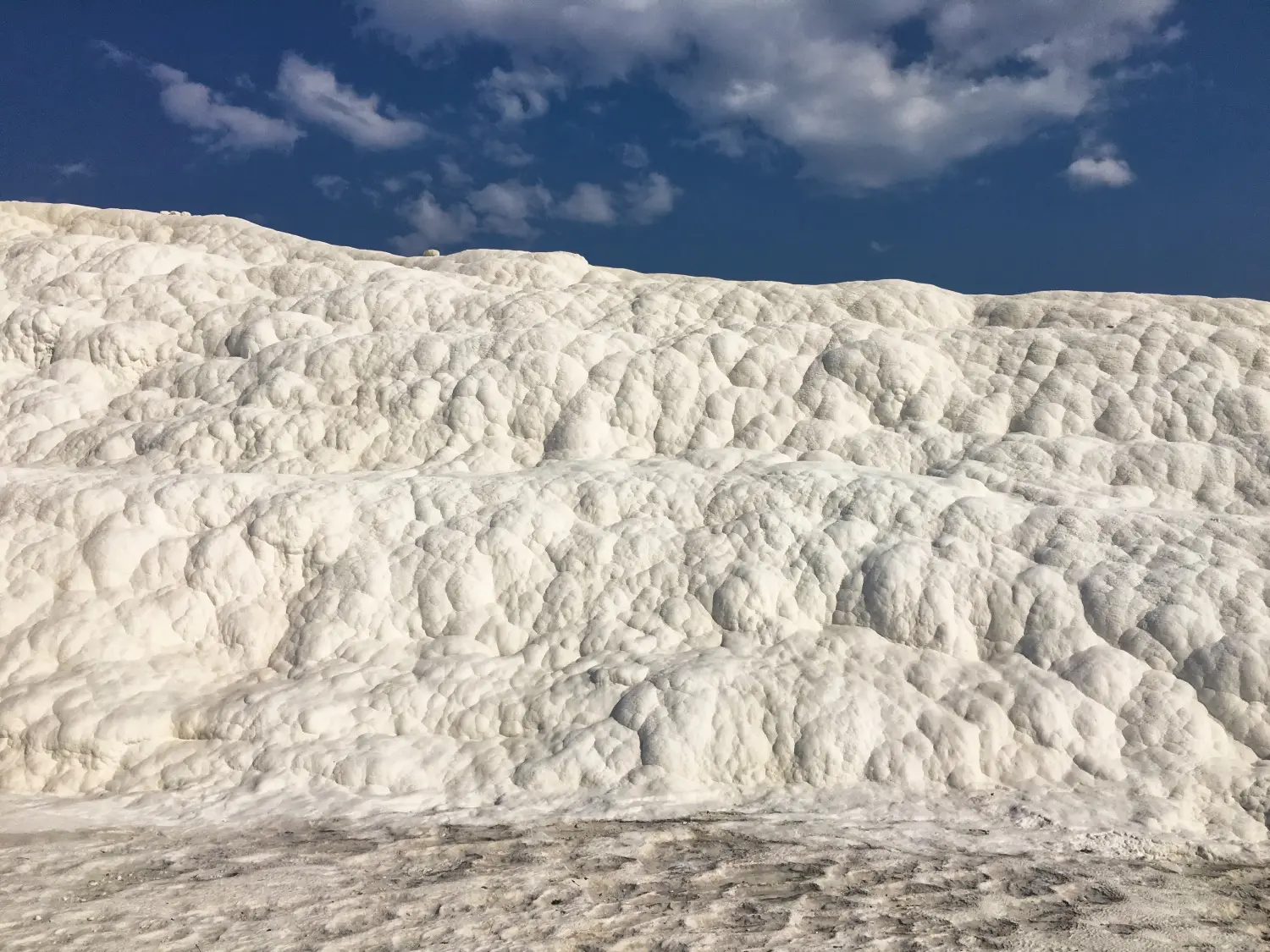 Turkey detail image 7