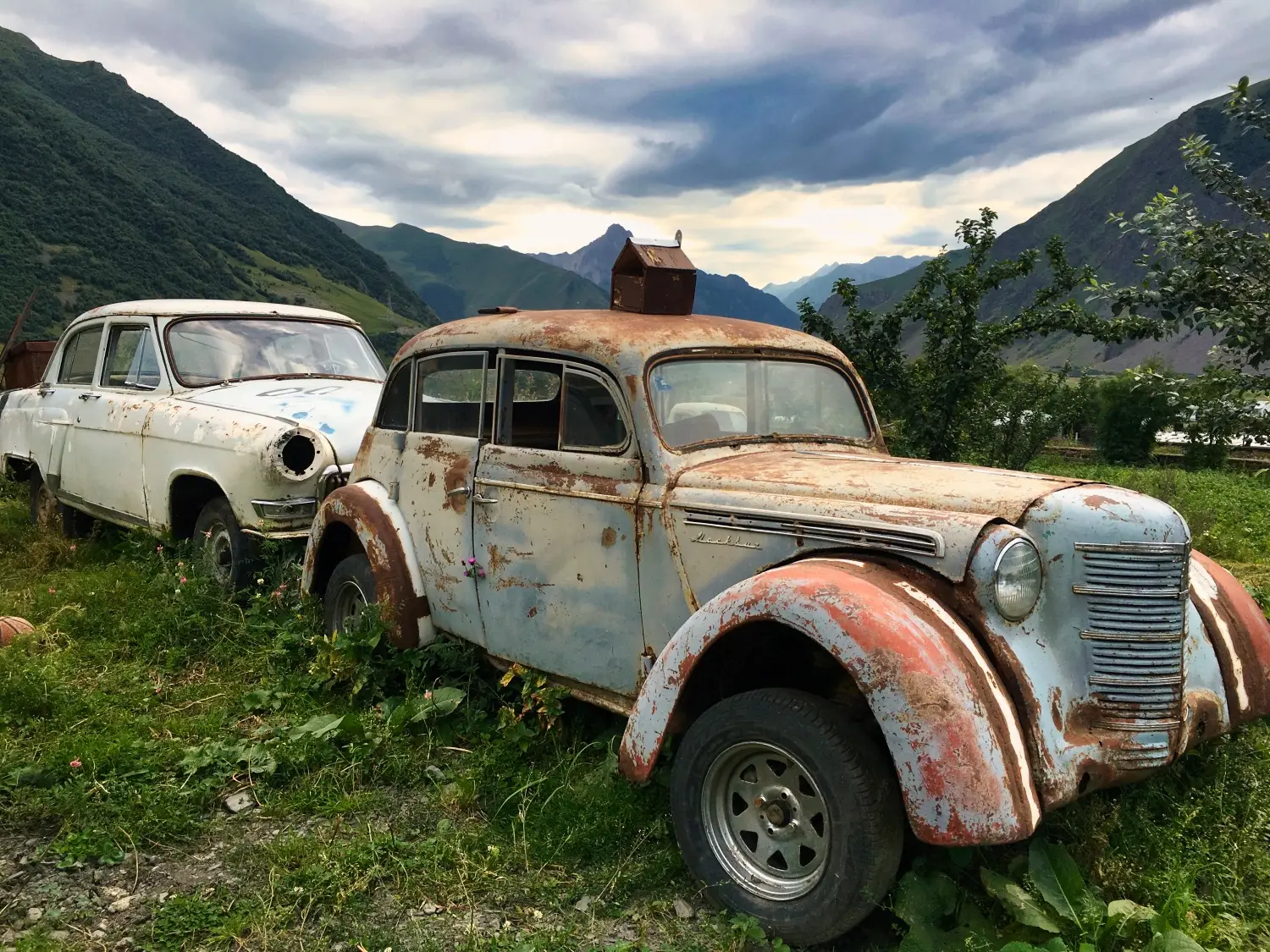 Georgia detail image 7