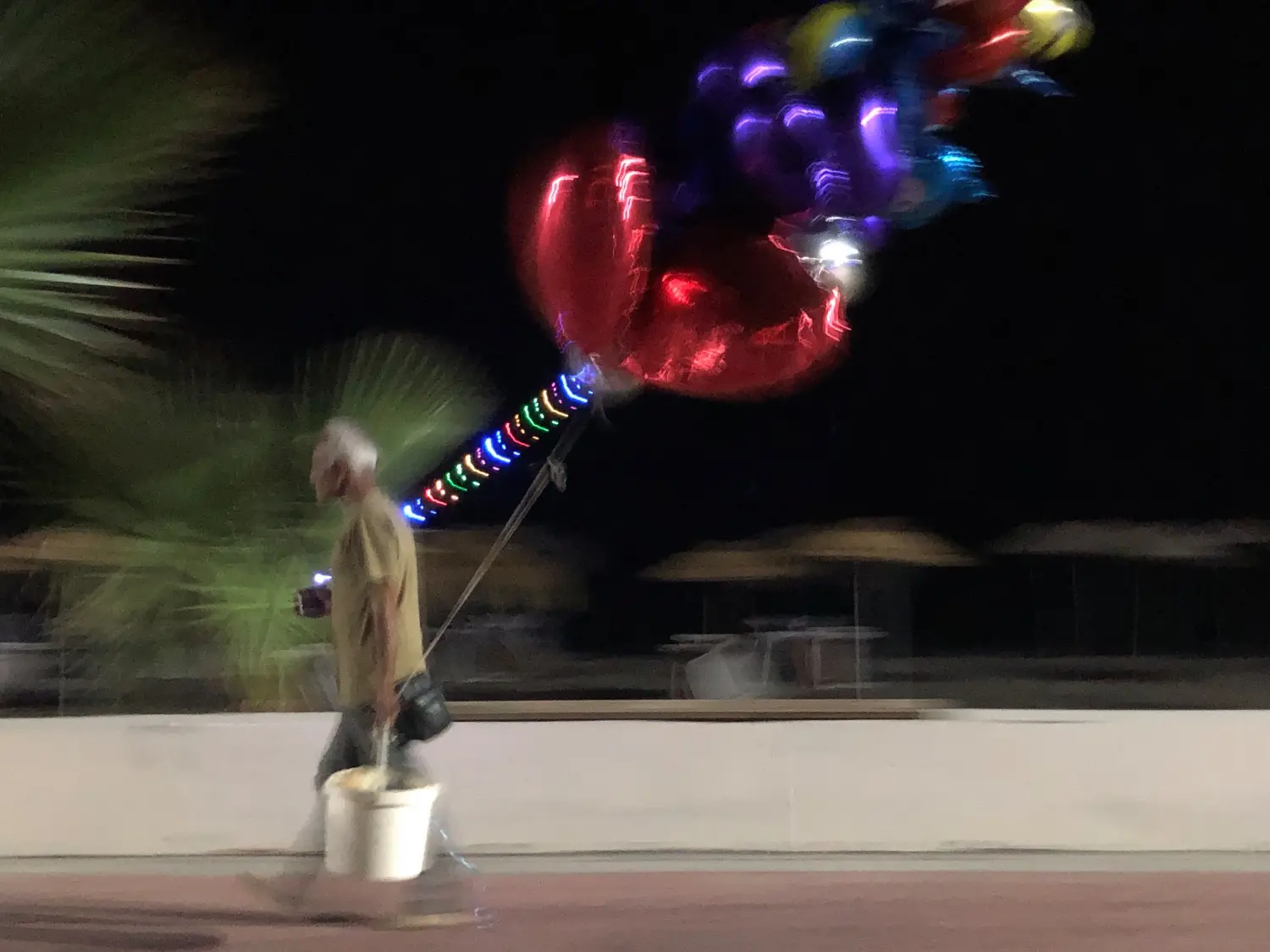 Turkey detail image 8