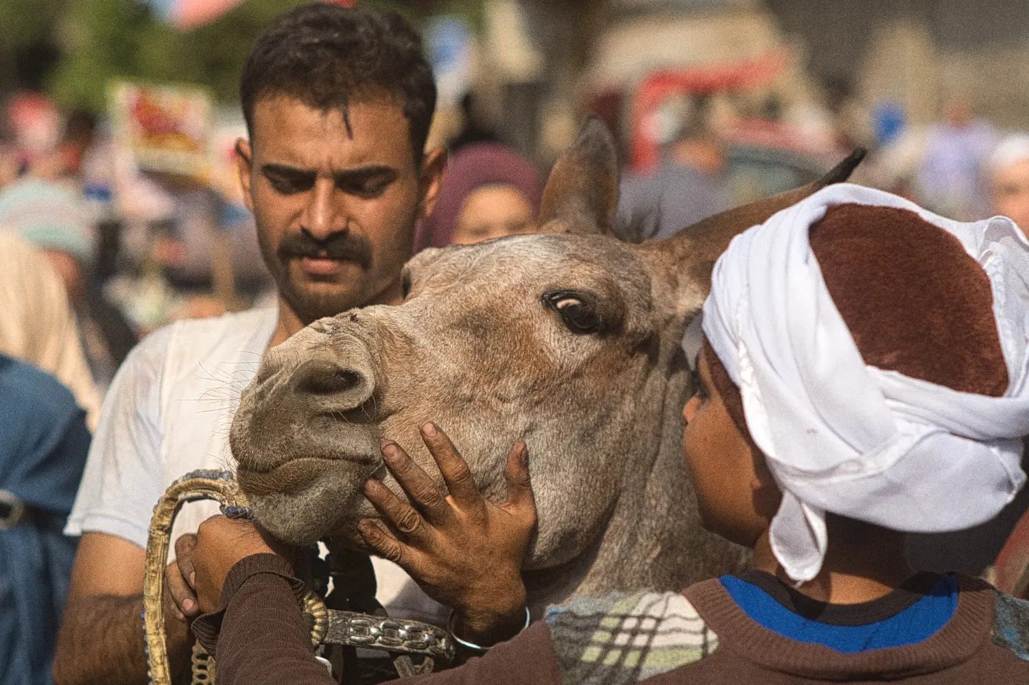 Egypt detail image 6
